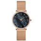 Full Stainless Steel Shell Chain Women's Diamond Shell Surface Quartz Watch