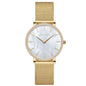 Full Stainless Steel Shell Chain Women's Diamond Shell Surface Quartz Watch